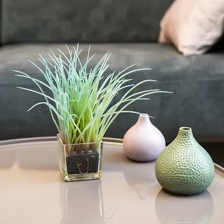 Foorum Centre Apartment